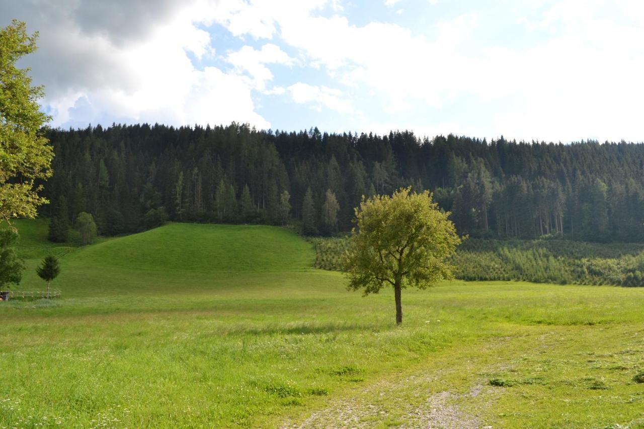 Ferienwohnung Ertlerhof Ranten Buitenkant foto